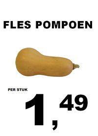 FLESPOMPOEN1,49ST